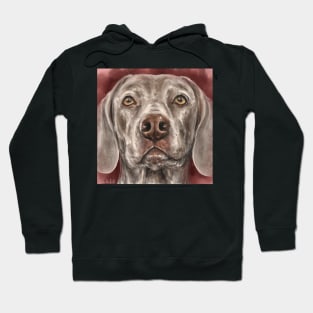 Painting of a Grey Brown Weimaraner Dog Looking At You on Red Background Hoodie